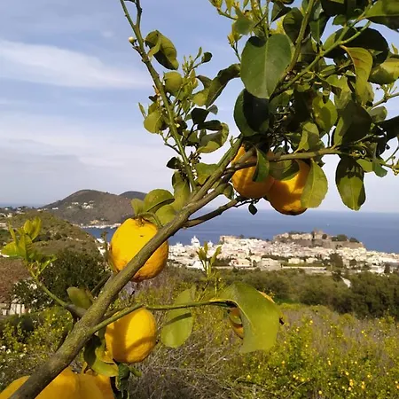 Belvedere דירה *