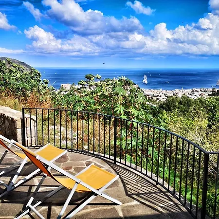 Belvedere * 리파리