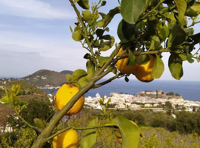 Belvedere Apartment *